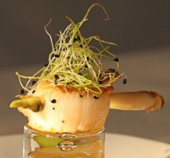 Jakobsmuschel_Zitronengras