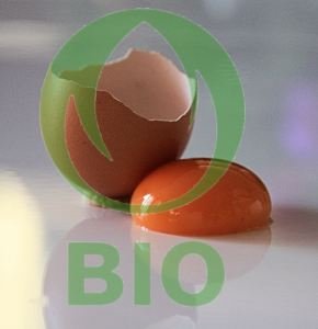 Es ist nicht alles Bio was glänzt