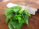 Etli_Dolma_Ici (23)