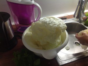 Etli_Dolma_Ici (29)